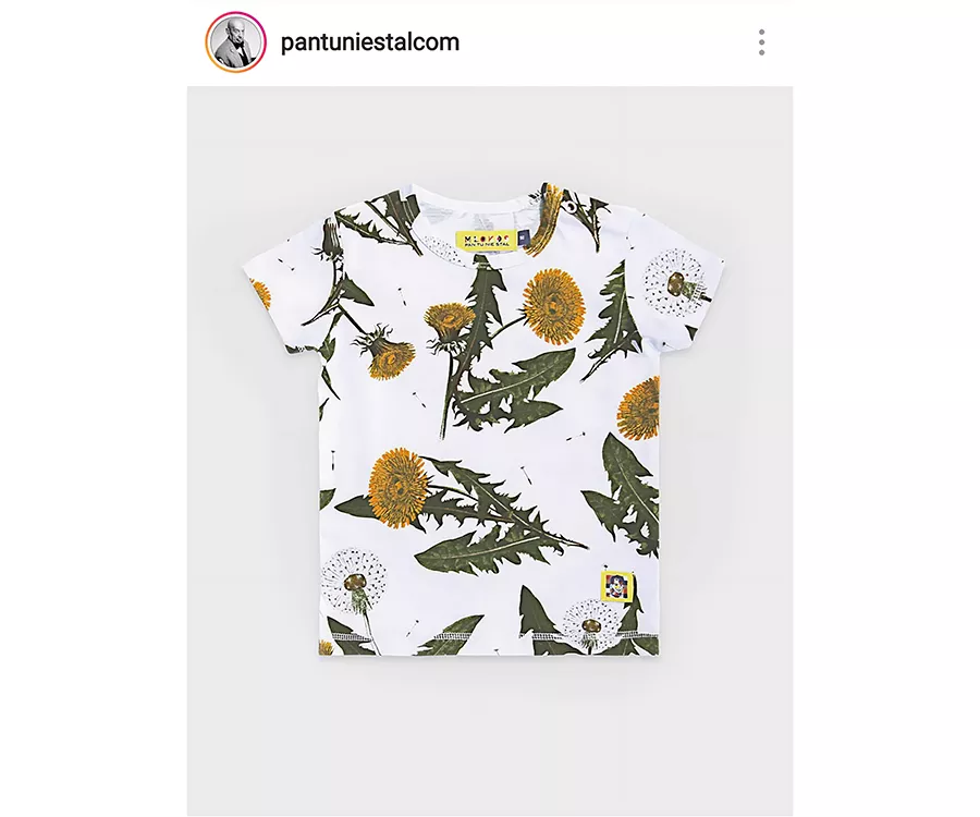 Zdjęcie produktowe przedstawiające koszulkę we wzór w mlecze.