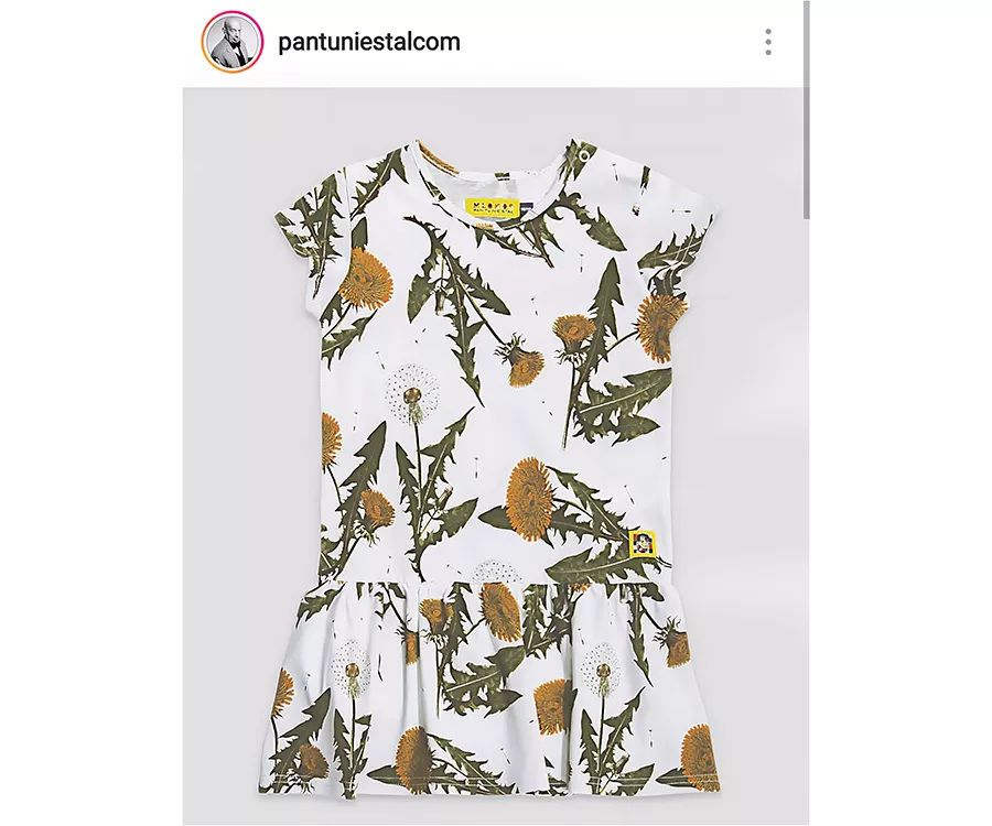 Zdjęcie produktowe przedstawiające sukienkę we wzór w mlecze.